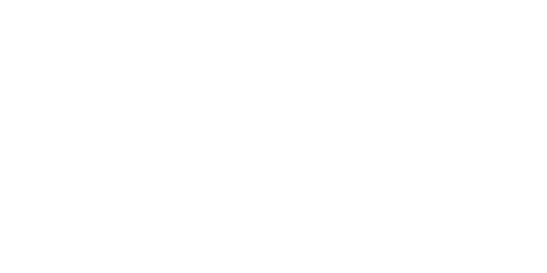 brioni